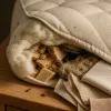 Punaises de lit : anatomie chiffrée de la panique de 2023