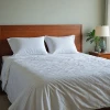 Acariens matelas : comment s'en débarrasser efficacement