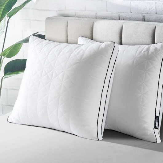 Oreiller 60x60 Lot de 2, Anti-Acariens à Faible Garnissage de Microfibre Hypoallergénique, Qualité Hôtel Moelleux et Respirant, Convient Allongées sur Le Côté et sur Le Dos