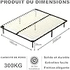 419FJ27vCdL._AC_US100_