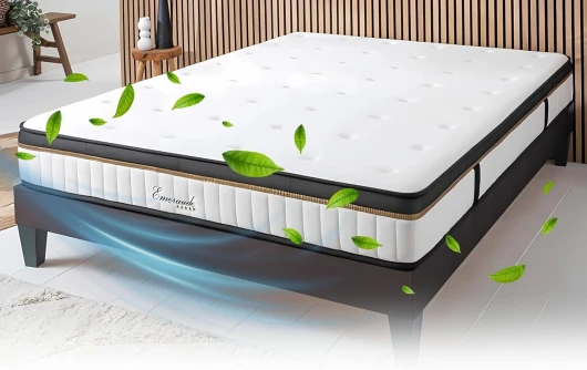 Matelas Emeraude 200x200, 24 cm Ép, Lit 2 Personnes, Mémoire de Forme Haute Densité 60 kg/m³, Accueil Moelleux, Soulage Le Mal de Dos, Soutien Ferme et Orthopédique, Chambre Adulte 200 x 200 cm Blanc