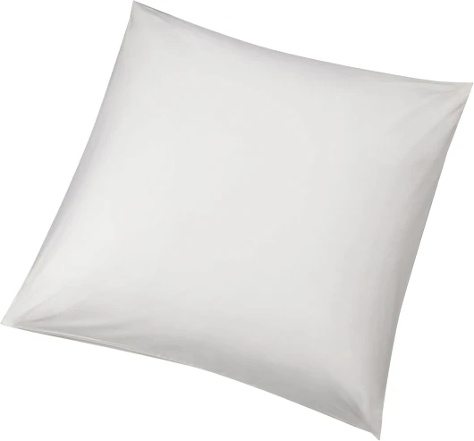 Lot de 2 taies de protection hypoallergénique pour oreiller Blanc 65 x 65 cm 65 x 65 cm (lot de 2)