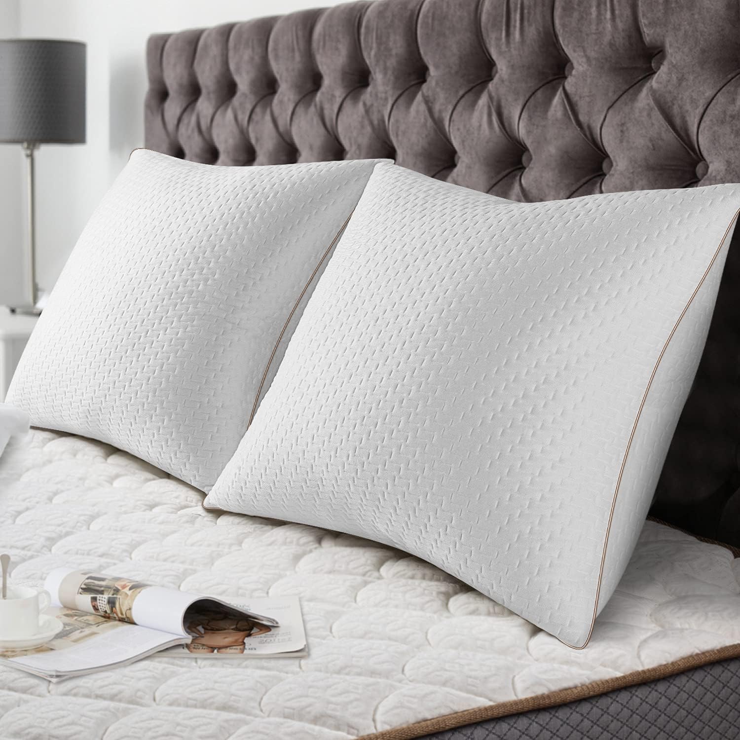 Oreillers 60x60 Lot de 2 avec Taies Amovibles avec Zip, Oreillers avec Garnissage 10% 7D et 90% 3D Fibre Polyester, Oreillers Qualité Hotel 60 x 60 cm Blanc