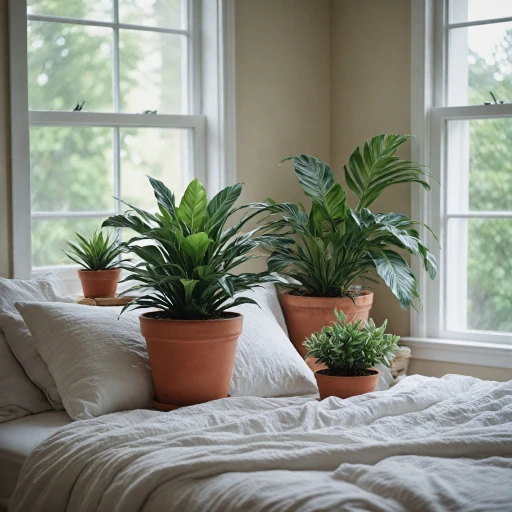 Tout savoir sur la couette Tediber