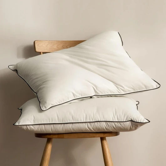 BPC Oreiller en Duvet 60x60 Lot de 2 Oreiller en Plumes, Noyau d'oreiller en Plumes et Duvet à 3 Chambres entouré de Polyester et de Coton 100% Biologique, Oreiller 60x60 cm de Sommeil Doux-Moyen 60 x 60 cm (lot de 2) Blanc
