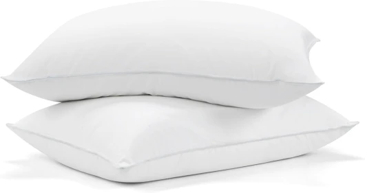 Oreiller 48x74cm Lot de 2, Oreiller en Plumes et Duvet avec 1100g de Remplissage en Plumes et Duvet et Housse 100% Coton, Lavable, Certifié Öko-Tex et RDS 48x74cm - 1000g