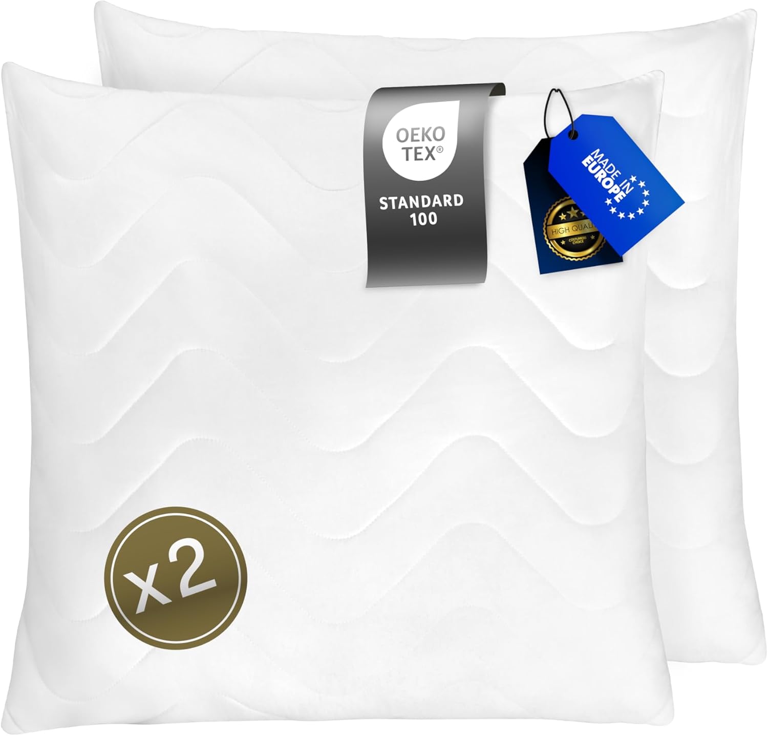 FAM' Home de Luxe Oreiller 65x65 Lot de 2 - Garnissage volumétrique (820g) - Blancs ergonomiques - Entretien Facile - Lavable Jusqu’à 95 °C - Moelleux Coussin 65x65cm Hypoallergéniques - Anti acarien ensemble de 2 65x65cm