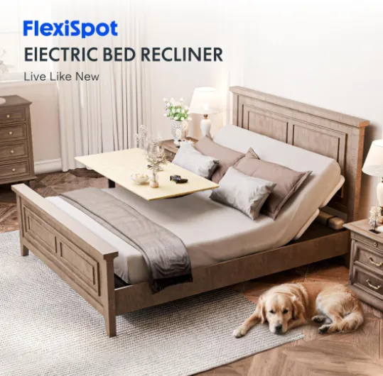 81uNxI13Q5L._AC_SL1500_