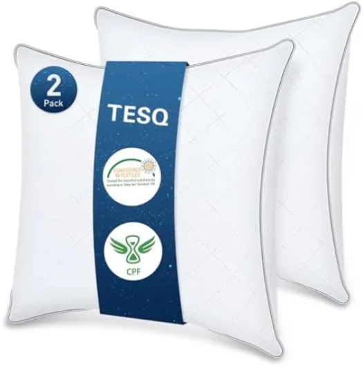 TESQ Oreiller 65x65 cm Lot de 2, Qualité Hôtelière de Luxe Oreiller Lot de 2 Oreillers Confort Moelleux, Respirant et Hypoallergénique Certifié Oeko-TEX, Adapté à Toutes Les Positions de Sommeil 65x65cm