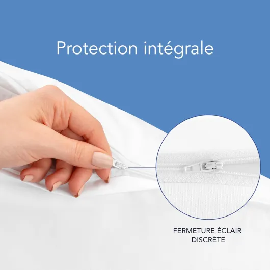 81TpULDWpeL._AC_SL1500_