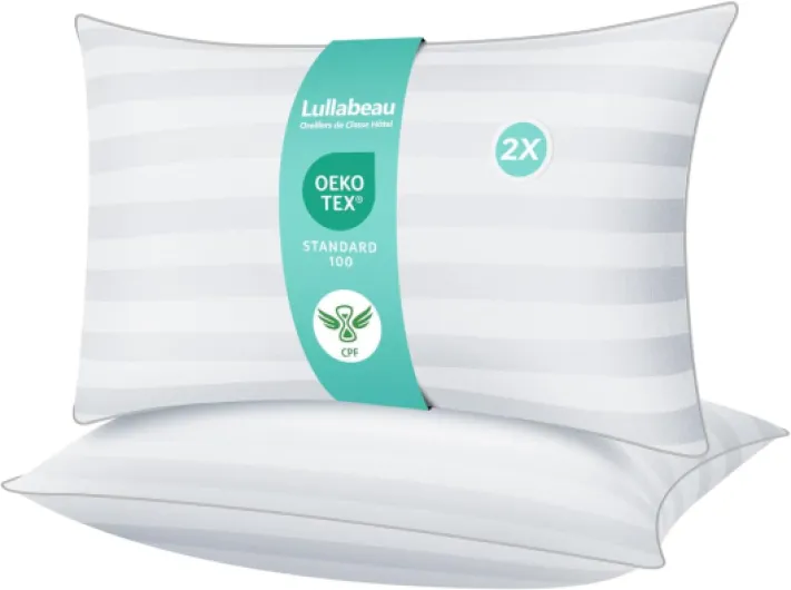 Oreillers 50x70 cm Lot de 2, Oreiller Doux Moelleux, Qualité Hôtelière de Luxe, Oreillers Classiques, Respirant et Peau, Lavable, Idéal pour Dormeurs sur Le Côté, Le Dos et Le Ventre 50x70 cm 2