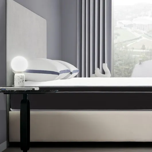 71B2dvD48eL._AC_SL1500_