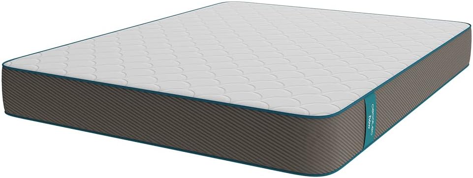 Matelas Viscoélastique VisComfort+ Flow PureVital 2990 100x200, Multicouche, Hauteur 23 cm, Fermeté Élevée, Noyau Mousseux FoamVital, Double Face Dual Système pour Hiver et Été Purevital 2990 100 x 200 cm