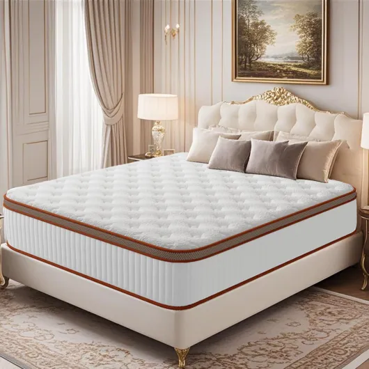 71losRuJX5L._AC_SL1500_