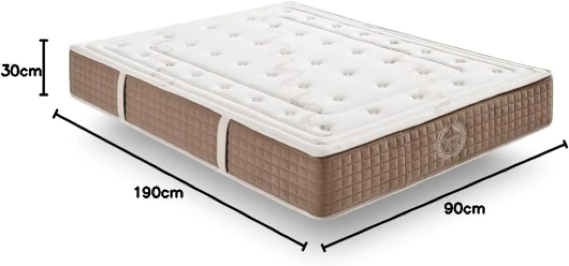 51iEnl41UKL._AC_SL1418_