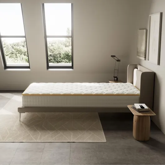 71JpV1XLT L._AC_SL1500_