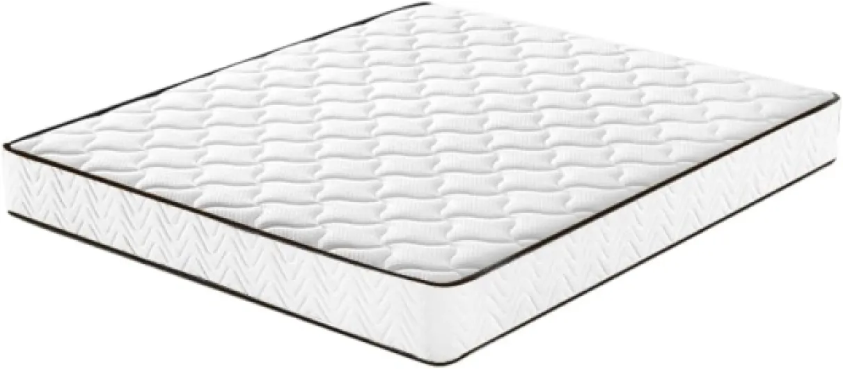 41gtPLixqFL._AC_SL1000_