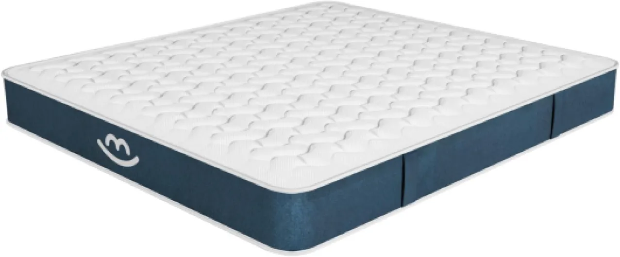 61wfxyjF3cL._AC_SL1500_