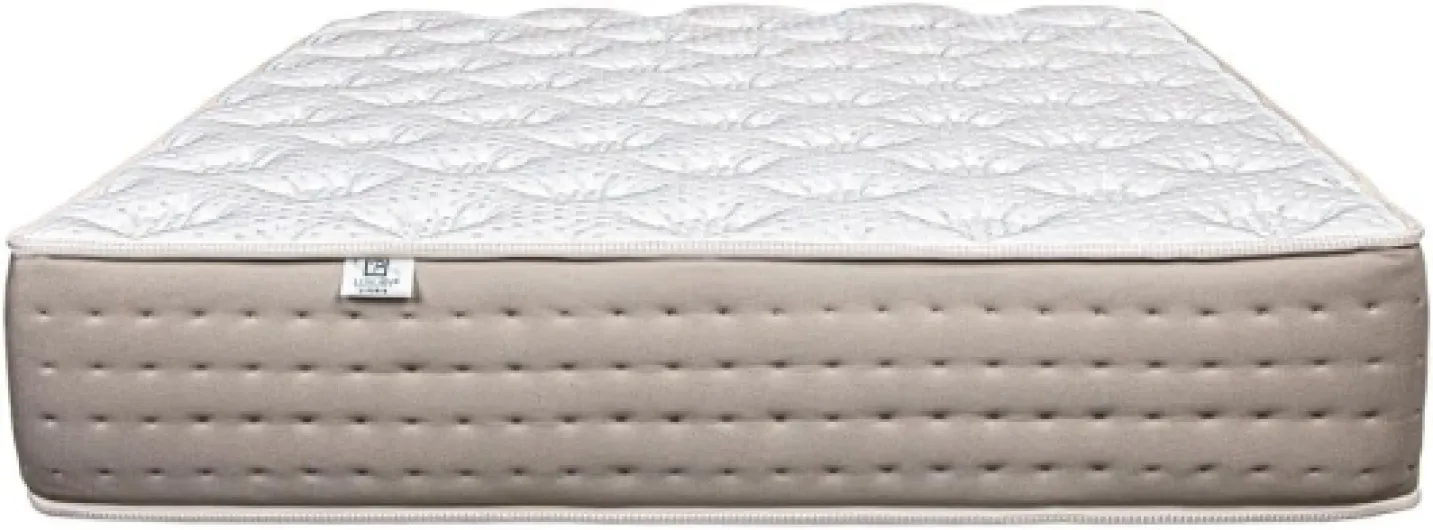 51s P iGDuL._AC_SL1000_