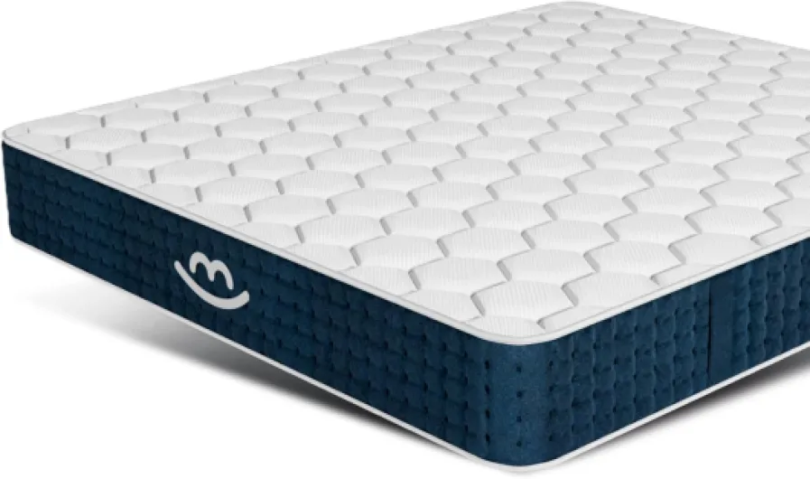 71u2eUy5DbL._AC_SL1500_