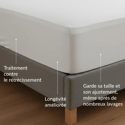 61UqI7pv2PL._AC_SL1500_