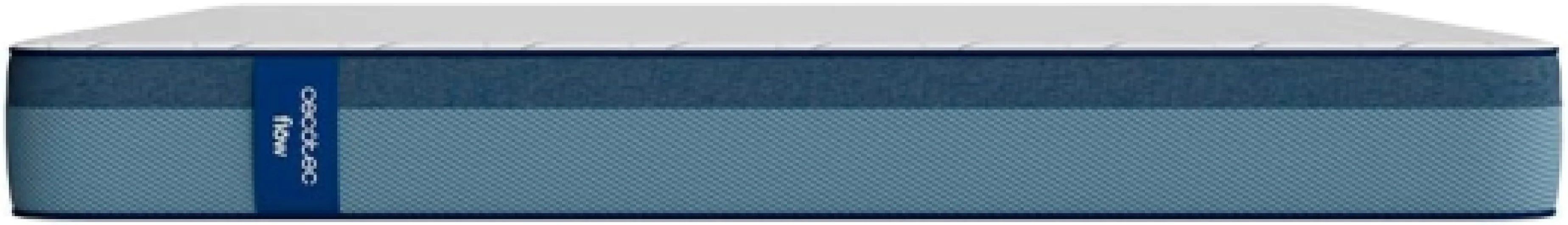 41pmM6IBMjL._AC_SL1000_