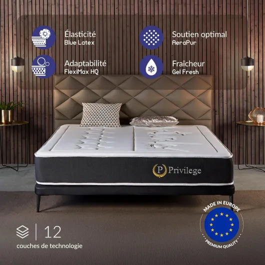 Matelas Privilege 160x200-25 cm - Mousse Haute Résilience + Mémoire de Forme Premium - Blue Latex - Soutien Mi-Ferme en 7 Zones - Réversible - Respirant - Fabriqué en Europe 160 x 200 cm 25 cm - Mousse