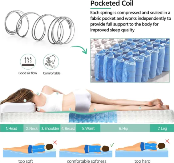 81BGTh v9lL._AC_SL1500_