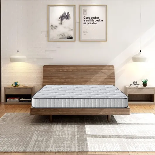 61bI0vkCdhL._AC_SL1000_