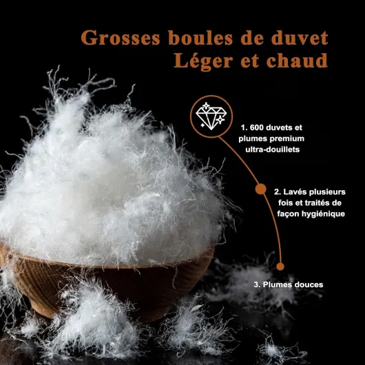 71IEvehOr7L._AC_SL1500_