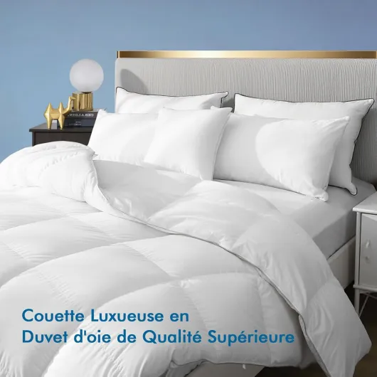 Dafinner Luxe Couette en Duvet pour Toute L'année 90% Duvet d'oie lit 2 Personne 220×240 cm, Certifiée Oeko-Tex&RDS, Chaude Couette 330 GSM Blanc 220 × 240 cm