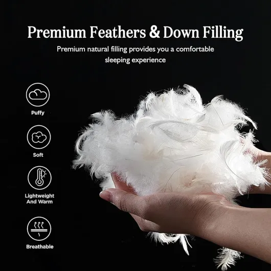 71ZzGJ3U8ML._AC_SL1500_