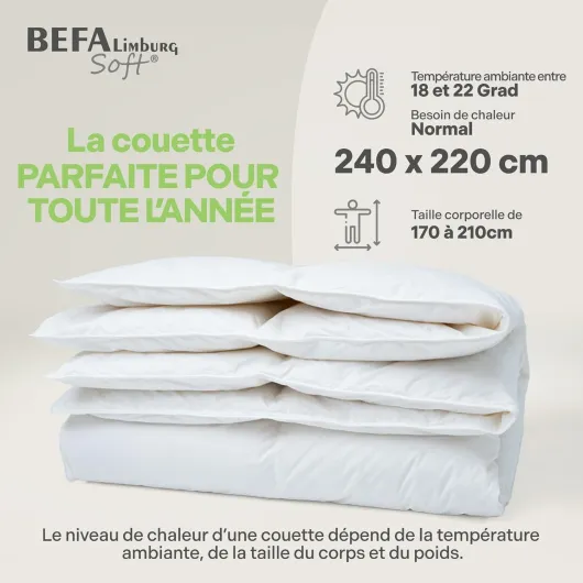 Couette en duvet pour toute l'année - 240 x 220 cm - Couette en plumes, 90 % plumes et 10 % duvet - Respirant et facile d'entretien - Pour les personnes allergiques (NOMITE) - Bien-être Couette Toutes Saisons 240 x 220 cm