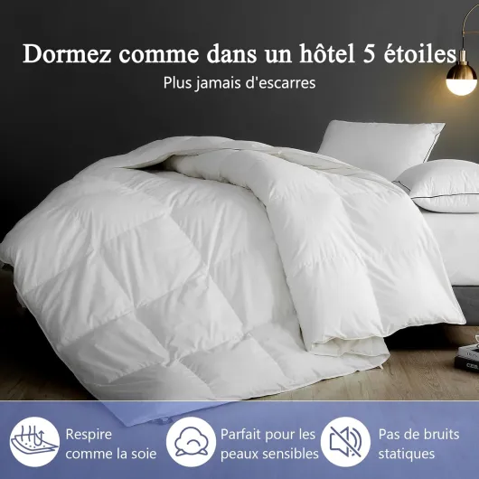 Couette 240x260 cm Coton Égyptien Mélangé, 100% Pur Duvet et Plumes 4 Saisons, Couettes pour Hotel de Luxe Anti Acariens, Naturelle Tempérée 2 Personnes,Oeko-Tex et RDS Certifié 240 x 260 cm 4 Saisons