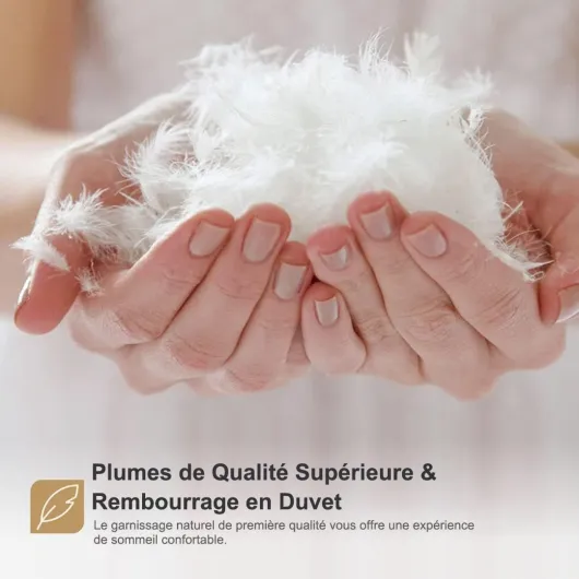 61EfEa9on0L._AC_SL1080_