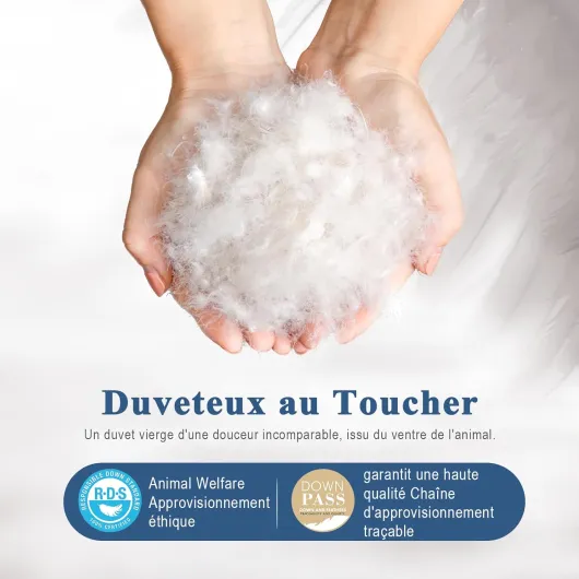 7173mTJbNSL._AC_SL1500_