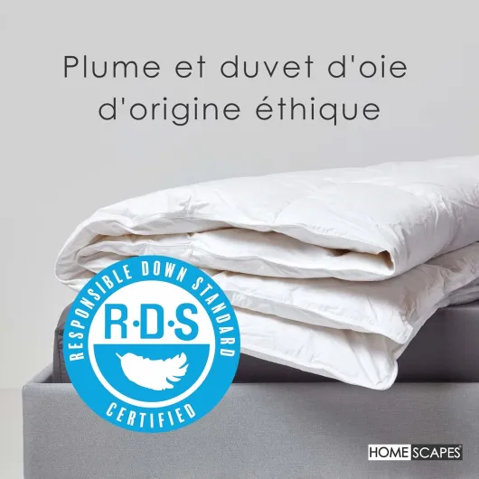 717f2Pft 3L._AC_SL1500_