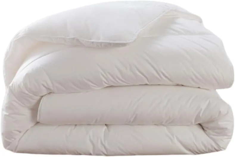 41gMbOCym-L._AC_SL1200_