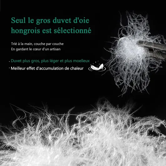 71PlRs-HnlL._AC_SL1500_