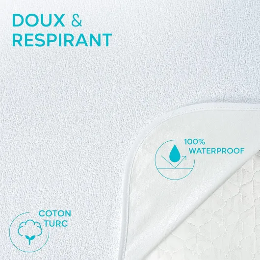 91aB1cuxgsL._AC_SL1500_