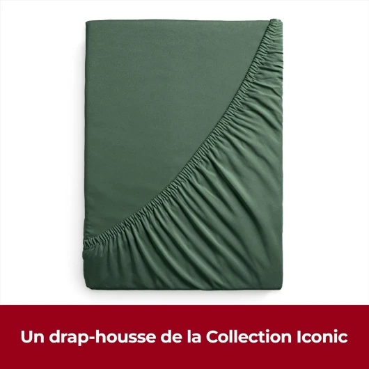 71OigIAaoBL._AC_SL1500_