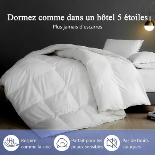 Test Couette KUSNUG 240x260 : un allié simple et efficace pour les 4 saisons