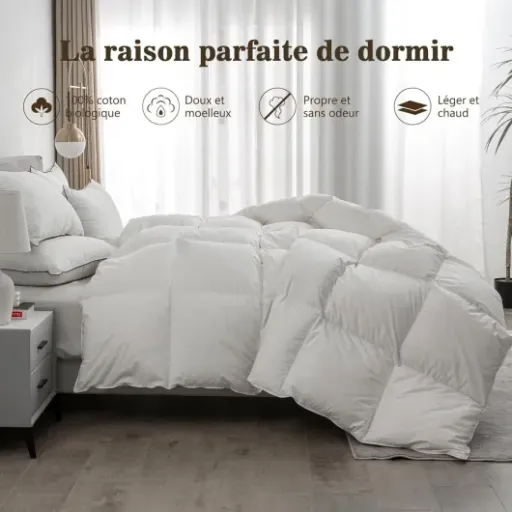 Test BPC Couette en Plumes d'oie et Duvet : Une option confortable pour toutes les saisons