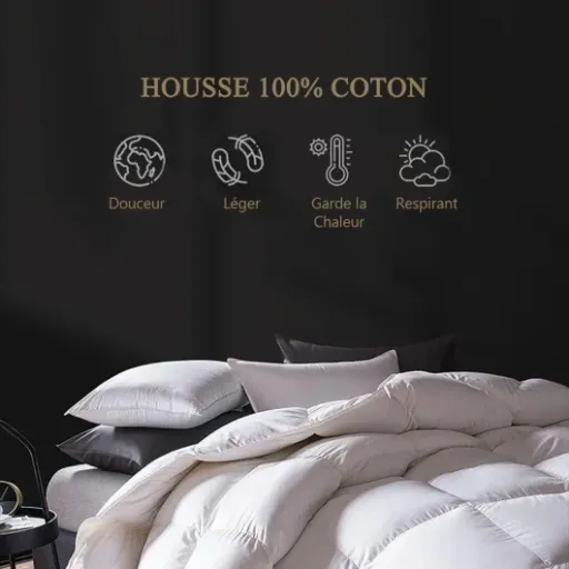 Test DWR Couette 4 Saisons : Une option polyvalente pour toutes les saisons.