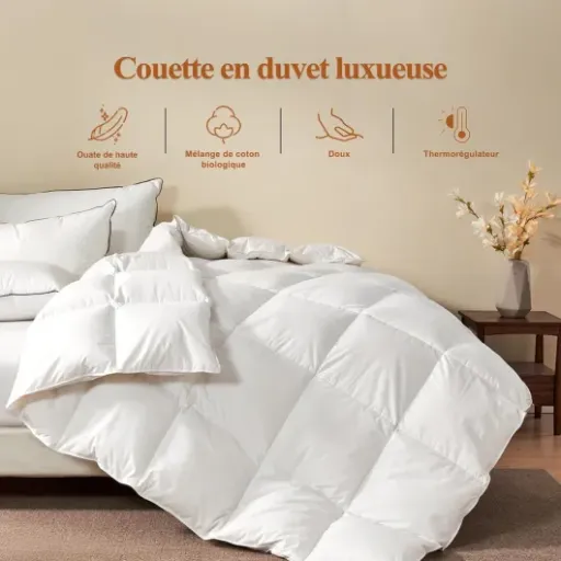 Test Couette pour Hotel de Luxe 50% Duvet : un bon allié pour vos nuits à toutes saisons