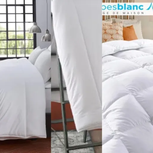 Comparatif des 10 meilleurs couette 240x260 cm (janvier 2026)