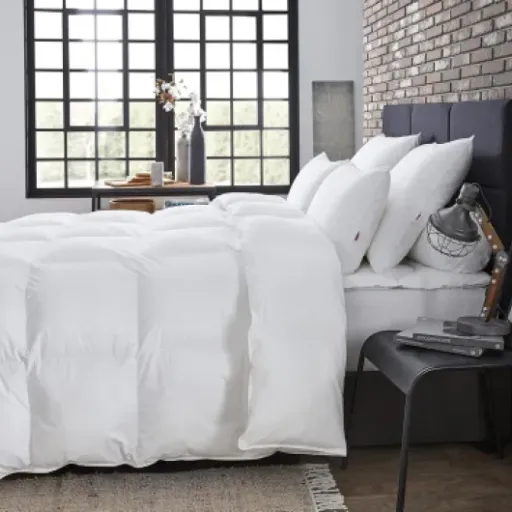 Test Couette Chaude Naturelle DODO : Pour des nuits paisibles sans chichis