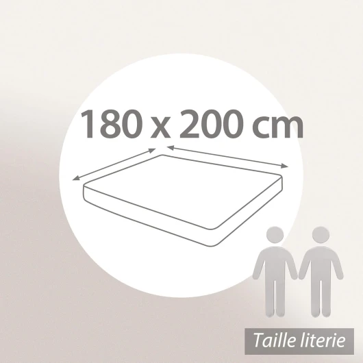 71I7Mb9JcTL._AC_SL1500_