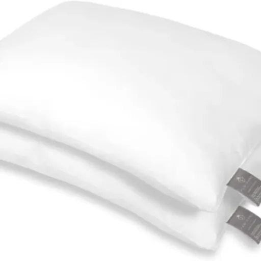 Test FAM Home Oreiller 50x70 : Le coussin qui fait le job