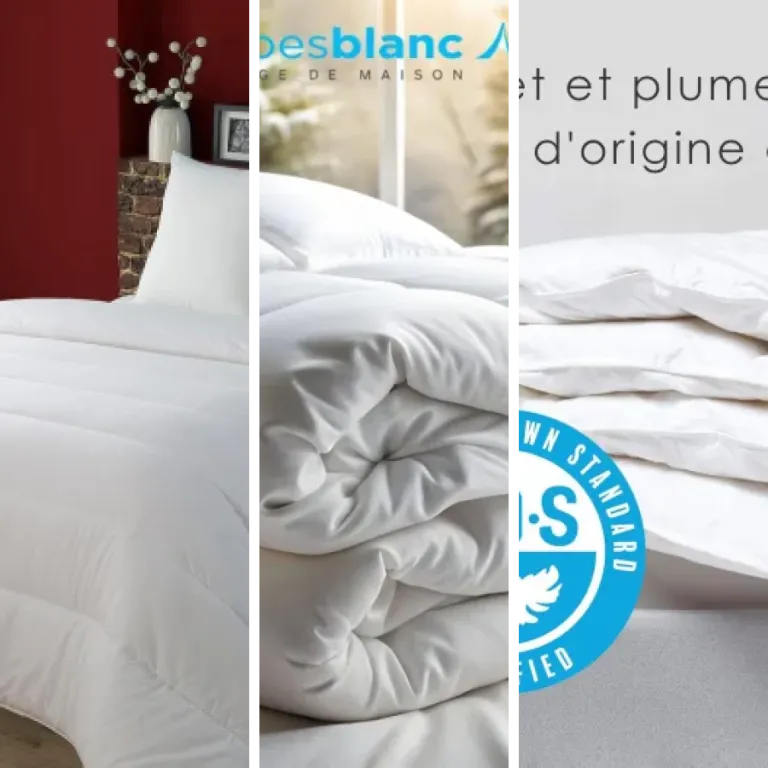 Guide d'achat : les 28 meilleurs couettes en duvet (août 2026)